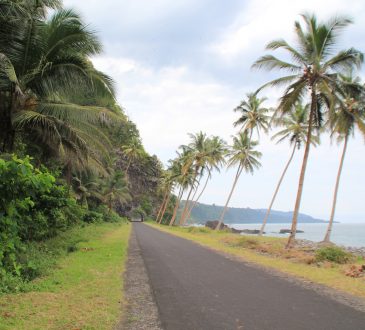 Custos da minha Viagem a São Tomé